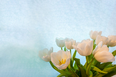 Similar image 21509550