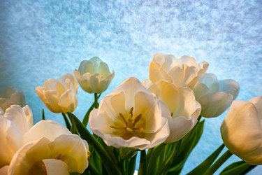 Similar image 21509553