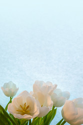 Similar image 21509555