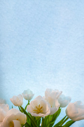 Similar image 21509561