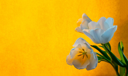 Similar image 21509563