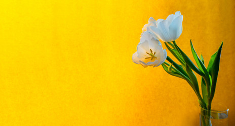 Similar image 21509565