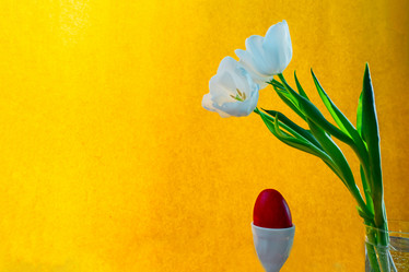 Similar image 21509567