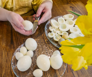 Similar image 21509568