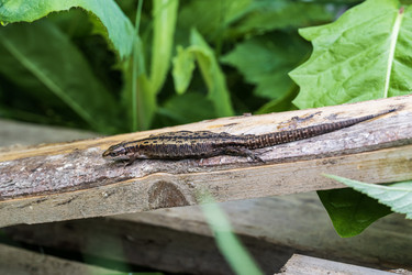 Similar image 21508738