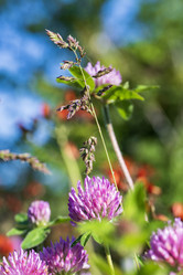 Similar image 21508740