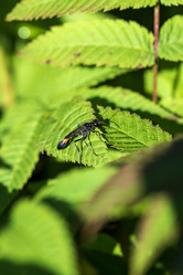 Similar image 21510805