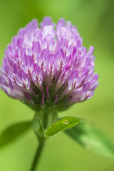 Similar image 21511438