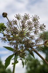 Similar image 21511837