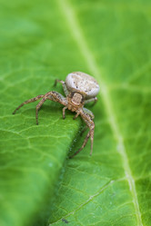 Similar image 21508741