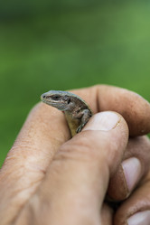 Similar image 21508742