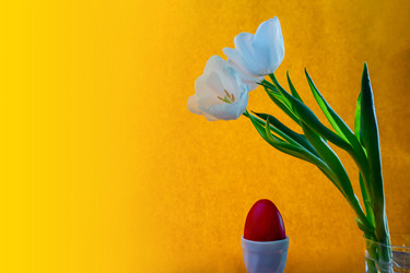 Similar image 21518319