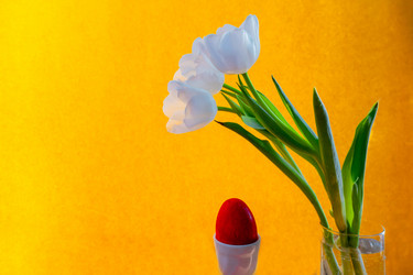 Similar image 21518321