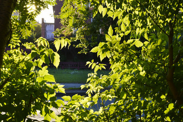 Similar image 21508943