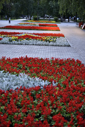 Similar image 21508947