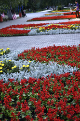 Similar image 21508948