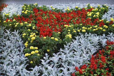 Similar image 21508949