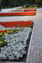 Similar image 21508950