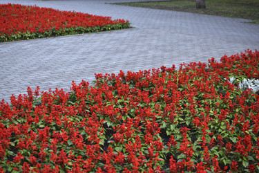 Similar image 21508951