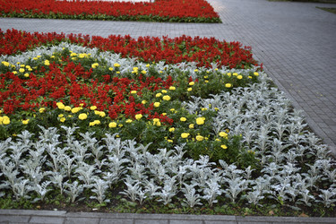 Similar image 21508954