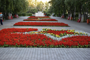 Similar image 21508960