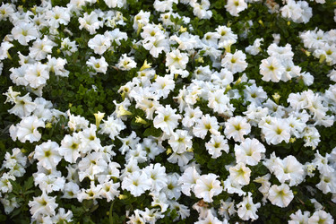 Similar image 21508962