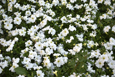 Similar image 21508965