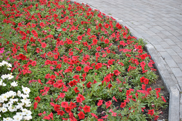 Similar image 21508966