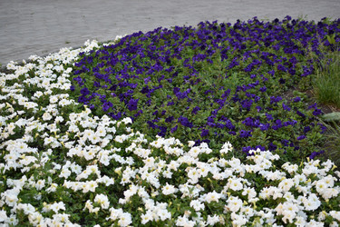 Similar image 21508967