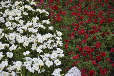 Similar image 21508969