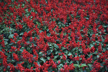 Similar image 21508971