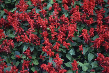 Similar image 21508972