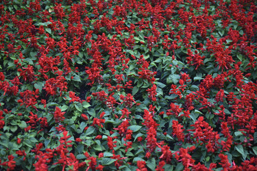 Similar image 21508973