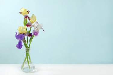 Similar image 21508758