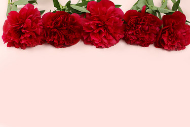 Similar image 21508759