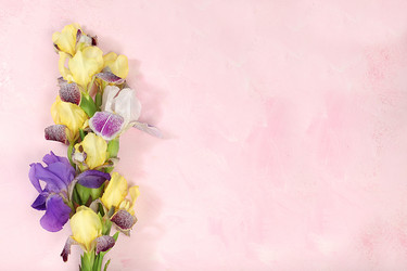 Similar image 21508760