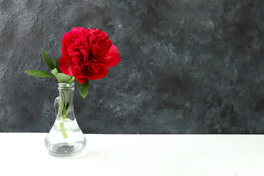 Similar image 21508761