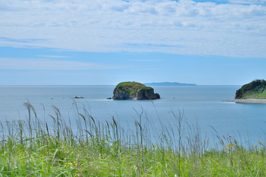 Similar image 21508768