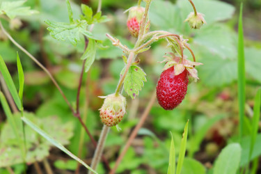 Similar image 21508770