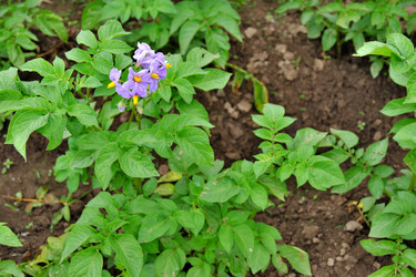 Similar image 21508771