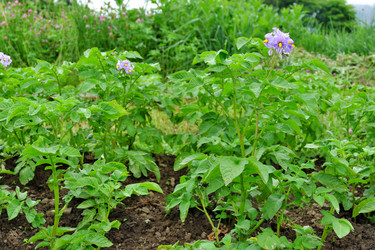 Similar image 21508772