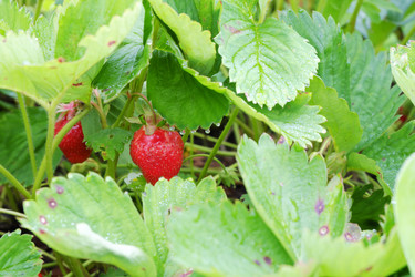 Similar image 21508773