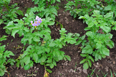 Similar image 21508774