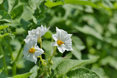 Similar image 21508775