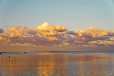 Similar image 21509761