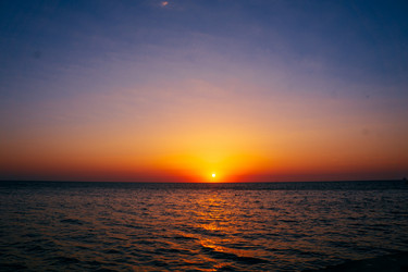 Similar image 21509594