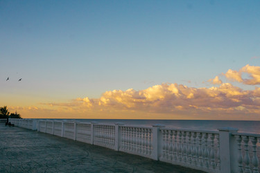 Similar image 21509601