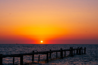 Similar image 21509603