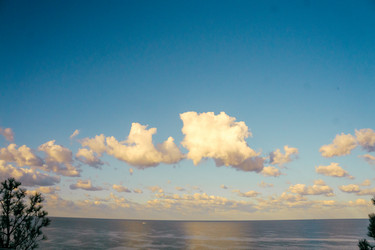 Similar image 21509611