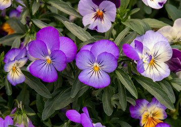 Similar image 21509042